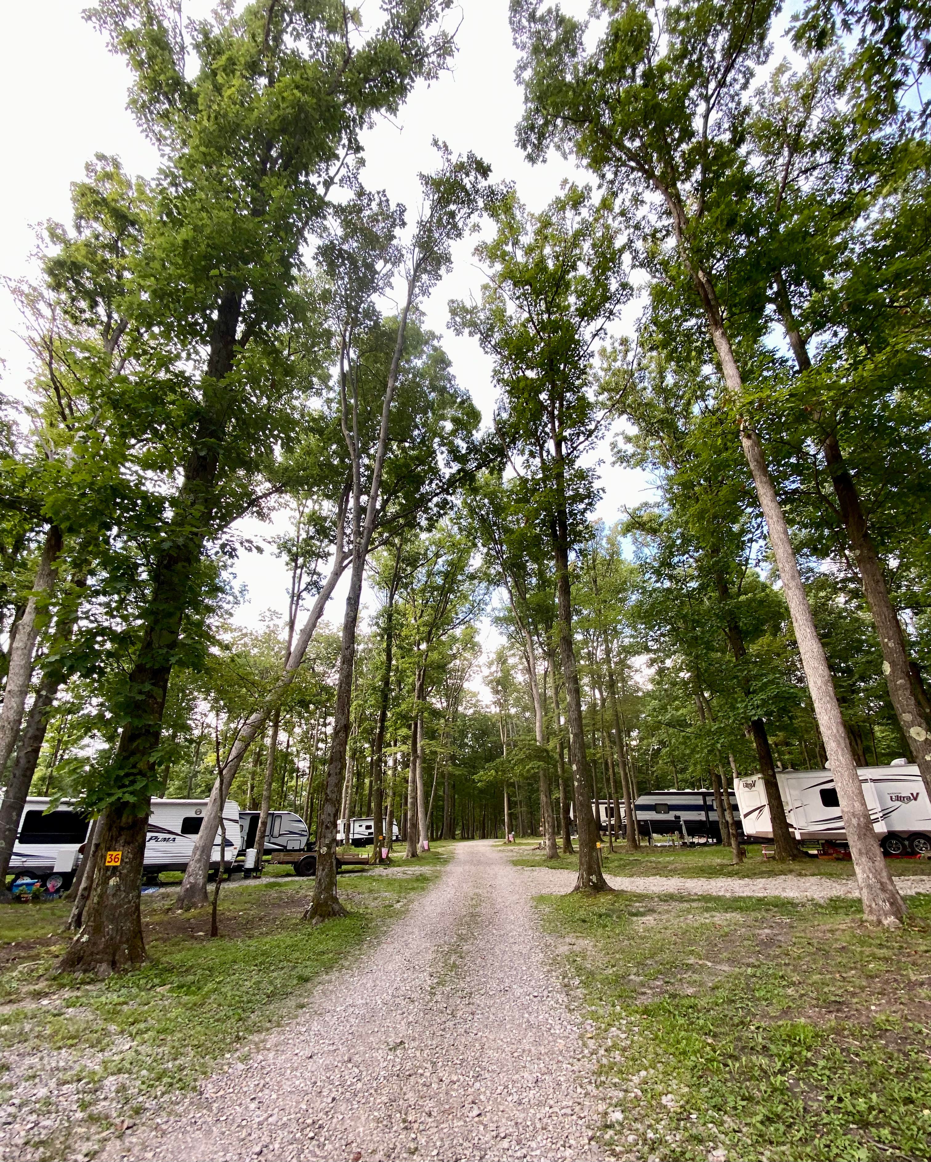 Karen's photo of rv camping at Sand Springs Campground near Grafton, WV