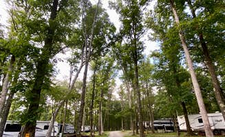 Karen's photo of rv camping at Sand Springs Campground near Bentleyville, PA