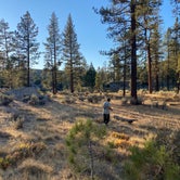 Review photo of Chilao Campground by Will N., September 2, 2022