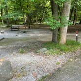 Review photo of Elkmont Campground — Great Smoky Mountains National Park by Shana D., September 2, 2022