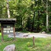 Review photo of Elkmont Campground — Great Smoky Mountains National Park by Shana D., September 2, 2022