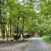 Review photo of Elkmont Campground — Great Smoky Mountains National Park by Shana D., September 2, 2022