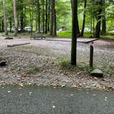 Review photo of Elkmont Campground — Great Smoky Mountains National Park by Shana D., September 2, 2022