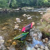 Review photo of Elkmont Campground — Great Smoky Mountains National Park by Shana D., September 2, 2022