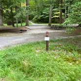 Review photo of Elkmont Campground — Great Smoky Mountains National Park by Shana D., September 2, 2022