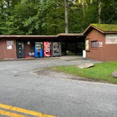 Review photo of Elkmont Campground — Great Smoky Mountains National Park by Shana D., September 2, 2022