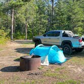 Review photo of Blind Sucker #2 State Forest Campground by Alejandro G., September 2, 2022