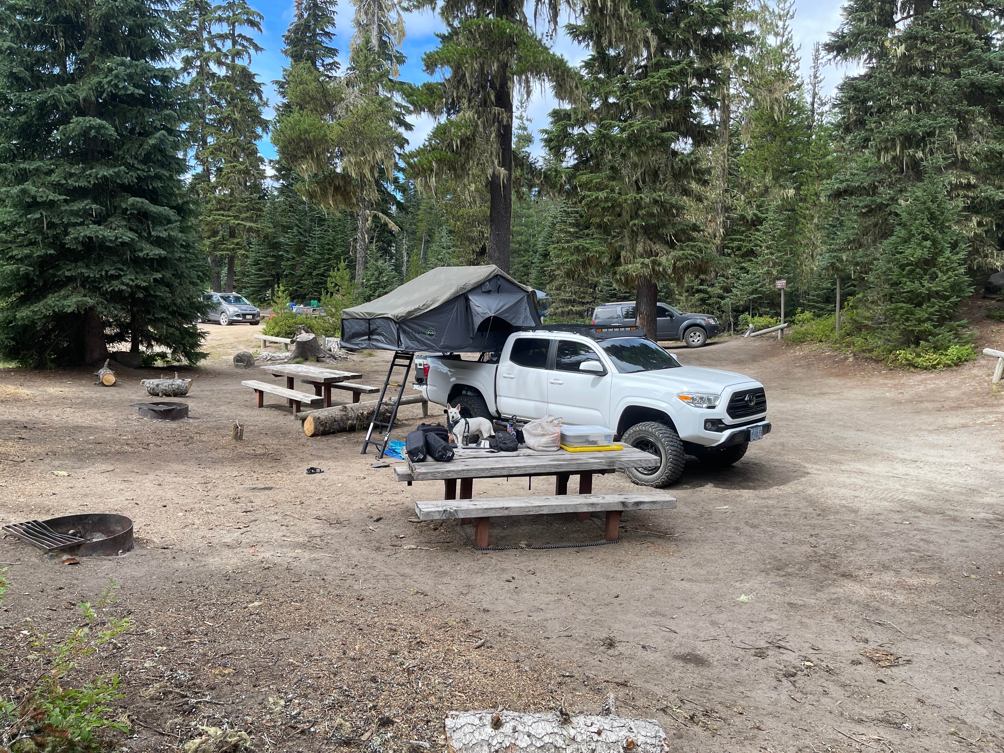 Devin F.'s photo of tent camping at Horseshoe Lake near White Swan, WA