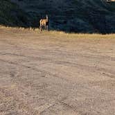 Review photo of Buffalo Gap Dispersed Camping by Wayne H., September 2, 2022