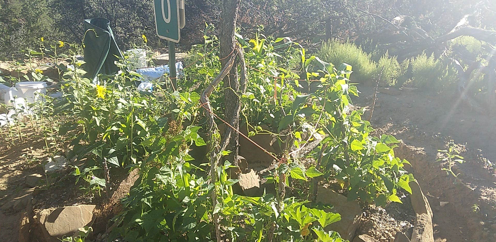 4 R&#x27;s Primitive camping