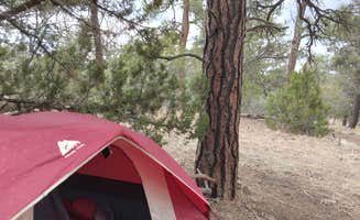 SicSense _.'s photo at 4 R's Primitive camping near Bluewater Village, NM
