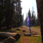 Review photo of Mazama Village Campground — Crater Lake National Park by Tj B., July 25, 2018