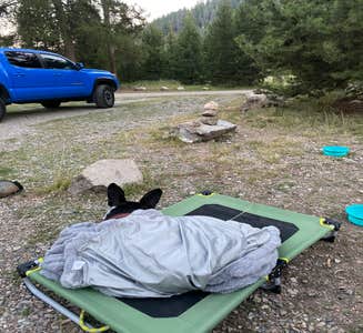 Camper-submitted photo from Wood River Campground