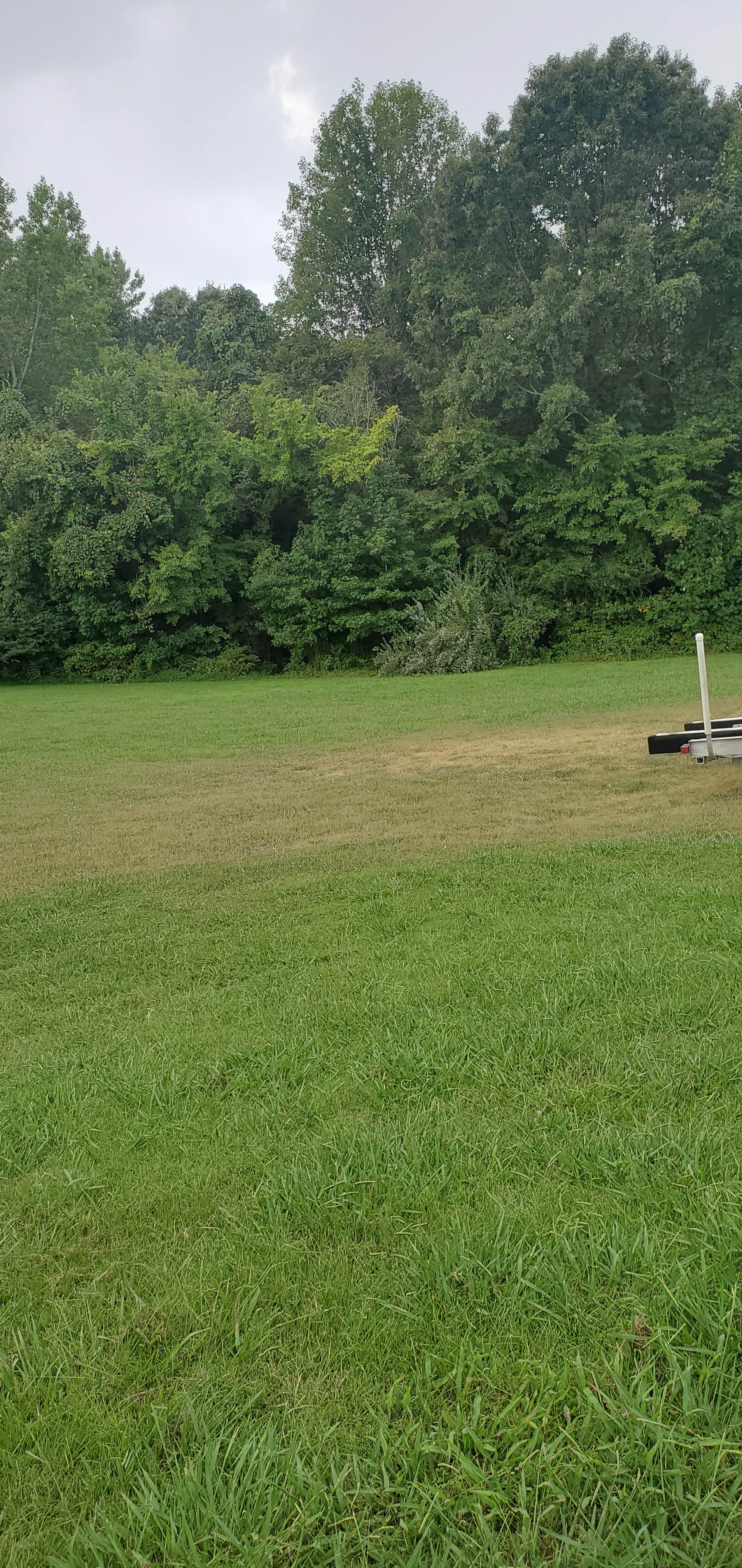 Camper-submitted photo at Demumber's Bay near Oak Grove, KY