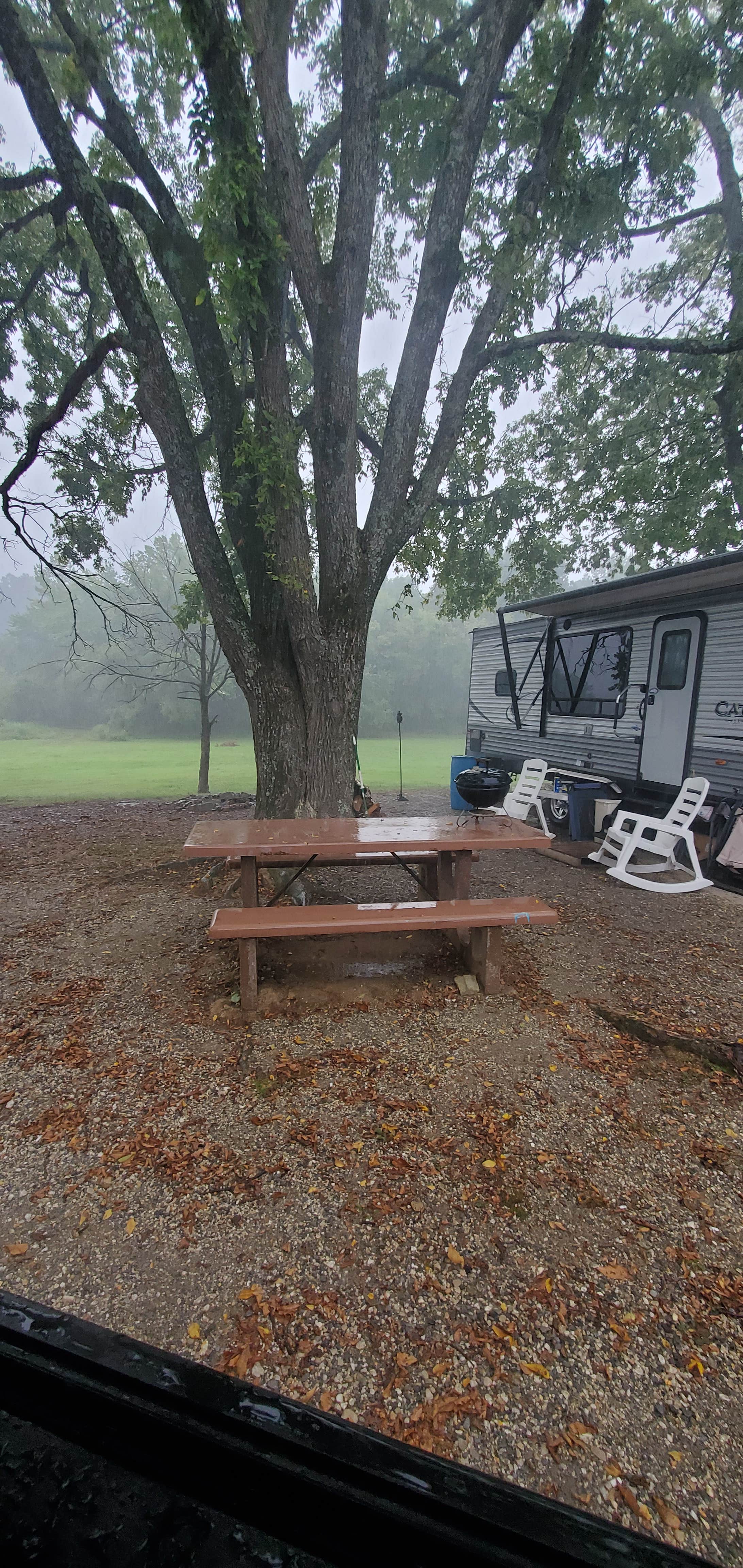 Camper submitted image from Demumber's Bay - 5