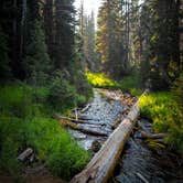 Review photo of Mazama Village Campground — Crater Lake National Park by Tj B., July 25, 2018