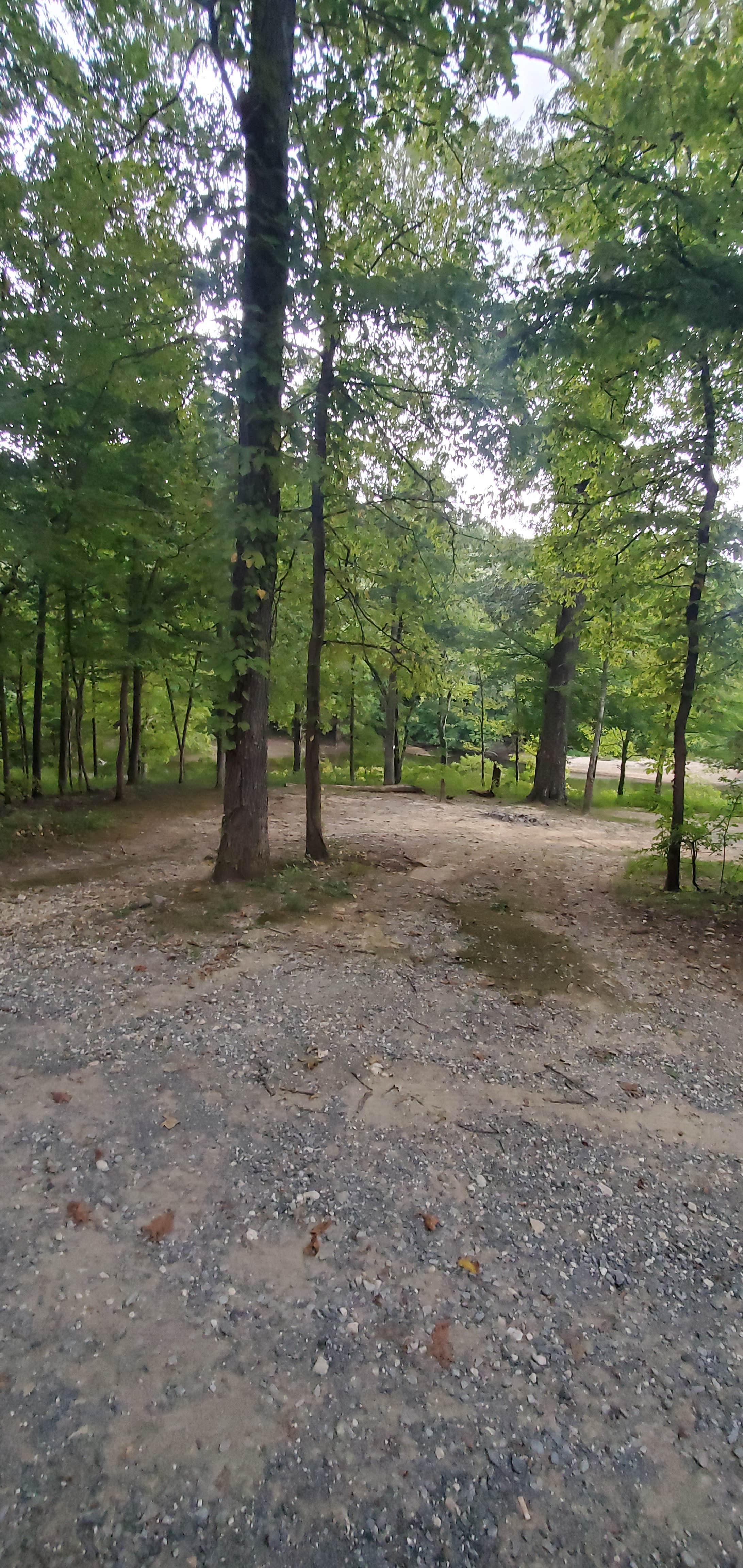 Camper-submitted photo at Twin Lakes Campground near Benton, KY