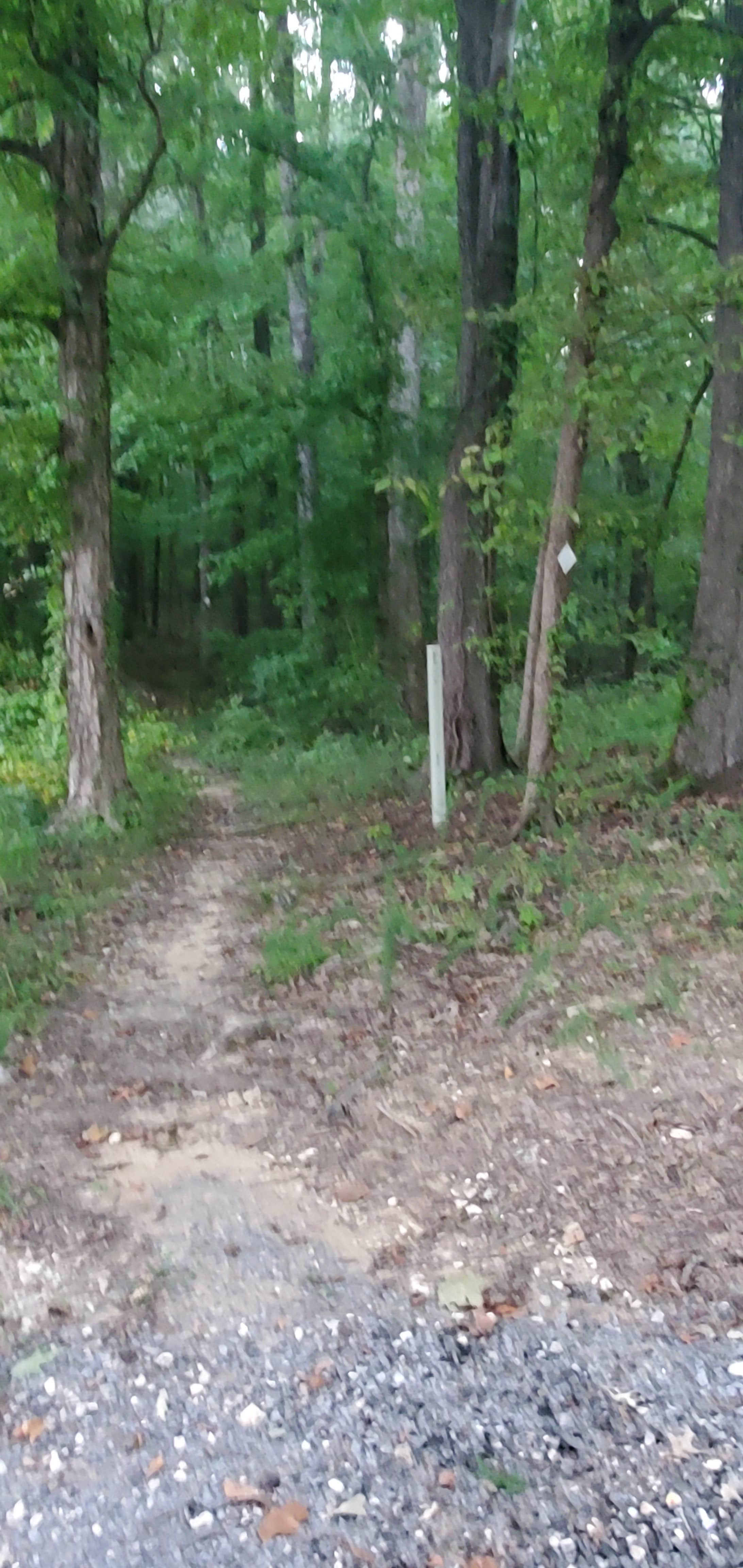 Camper-submitted photo at Twin Lakes Campground near Benton, KY