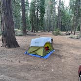 Review photo of Yosemite “Boondock National” Dispersed Camping by Lil R., September 2, 2022