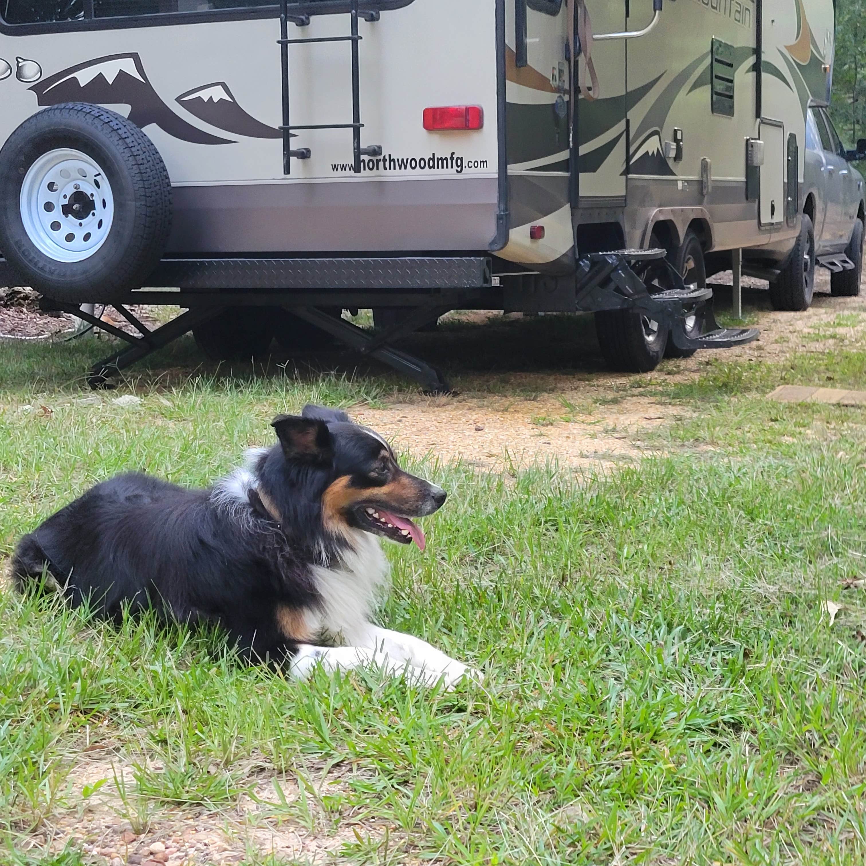 Annaliese M.'s photo of camping with pets at controller works near Cordova, AL