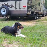 Review photo of Togetherness Works RV Park by Annaliese M., September 3, 2022