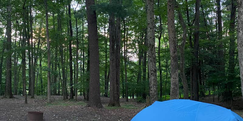 Camper submitted image from Whitewater Challengers Adventure Center