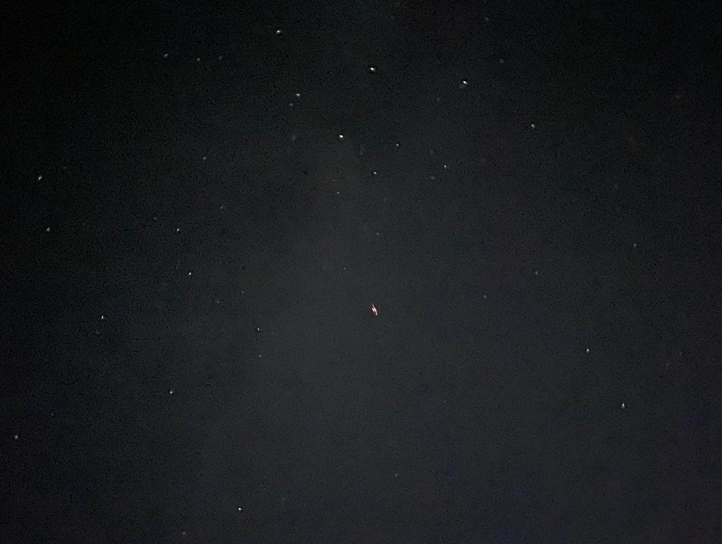 Ildiko F.'s photo of a dispersed camping area at Santa Fe BLM Dispersed Campsite near Rincon, NM