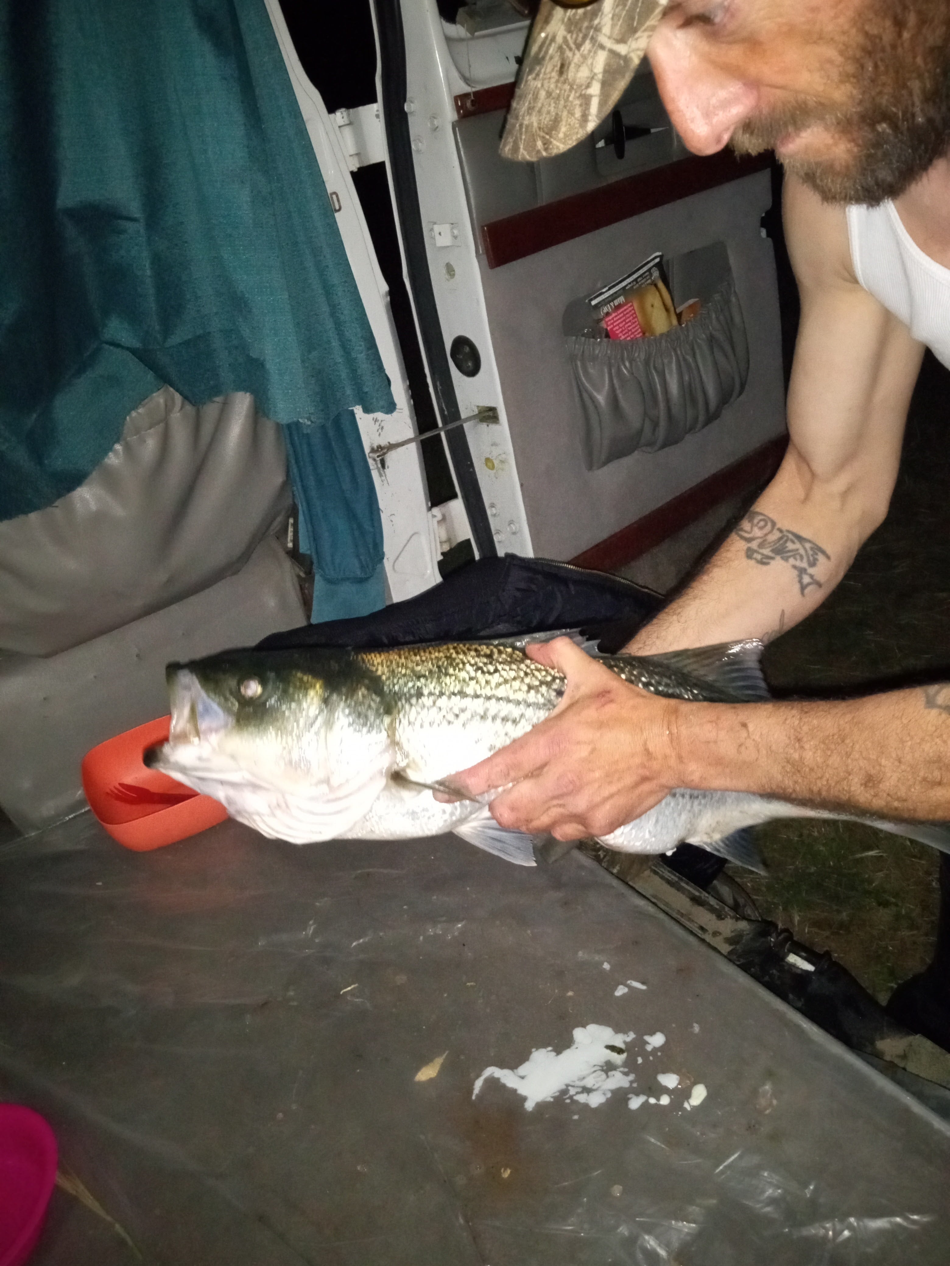 Camper submitted image from Driftwood RV Fishing Resort - 1