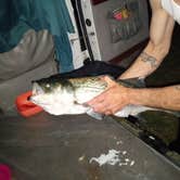 Review photo of Driftwood RV Fishing Resort by john E., September 3, 2022