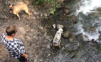Sierra S.'s photo of camping with pets at Eklutna Lake Campground — Chugach State Park in Alaska