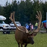 Review photo of Bridge Bay Campground — Yellowstone National Park by tiffany H., September 3, 2022