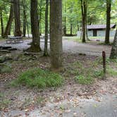 Review photo of Elkmont Campground — Great Smoky Mountains National Park by Shana D., September 2, 2022