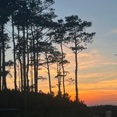 Review photo of Outer Banks West - Currituck Sound KOA by Renee M., September 3, 2022