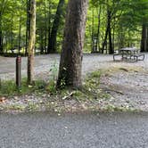 Review photo of Elkmont Campground — Great Smoky Mountains National Park by Shana D., September 2, 2022