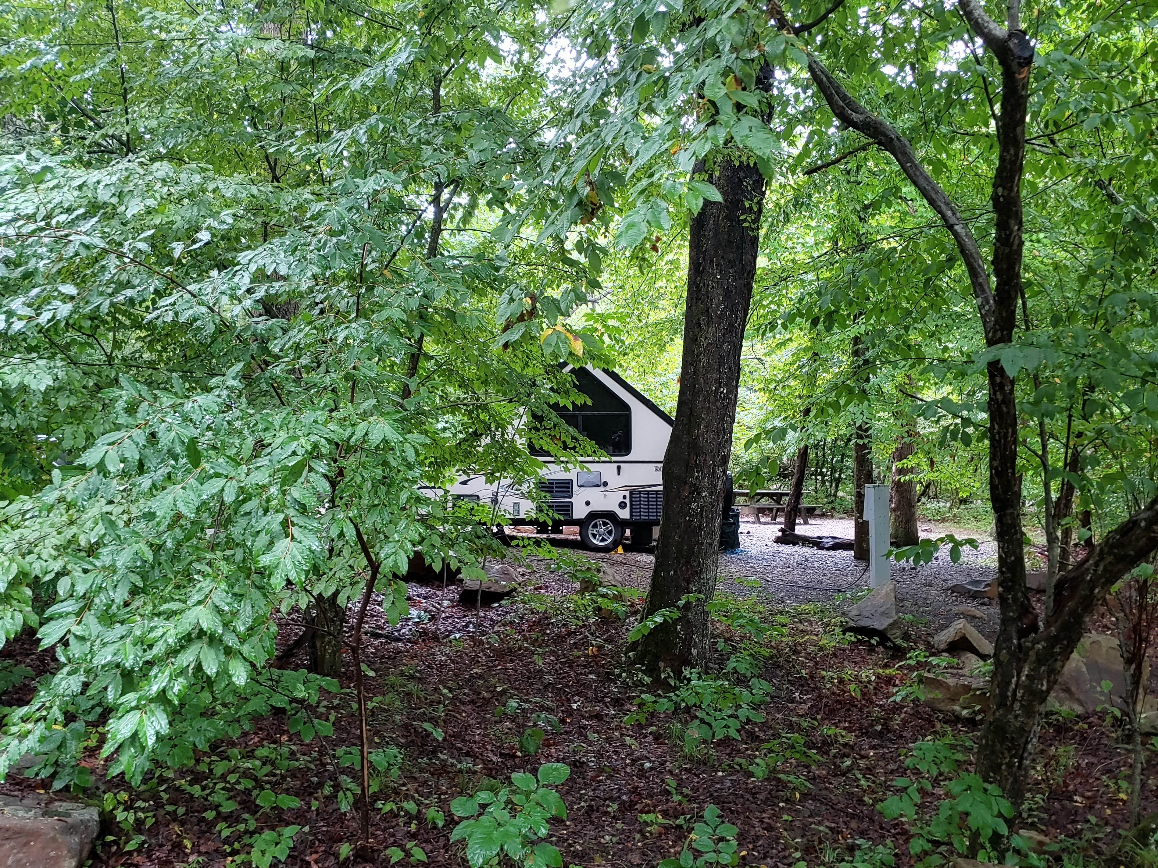Sandra S.'s photo of rv camping at Audra State Park Campground near Horner, WV