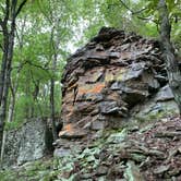 Review photo of Petit Jean State Park — Petit Jean State Park by Chris H., September 3, 2022