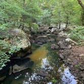 Review photo of Petit Jean State Park — Petit Jean State Park by Chris H., September 3, 2022