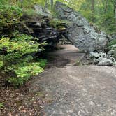 Review photo of Petit Jean State Park — Petit Jean State Park by Chris H., September 3, 2022