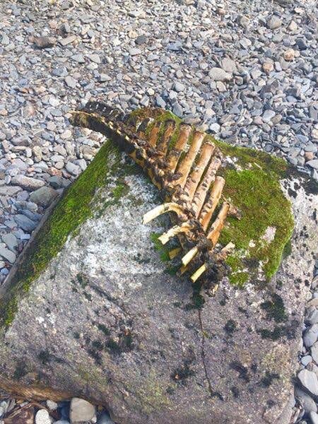 Camper-submitted photo at Ohmer Creek near Point Baker, AK