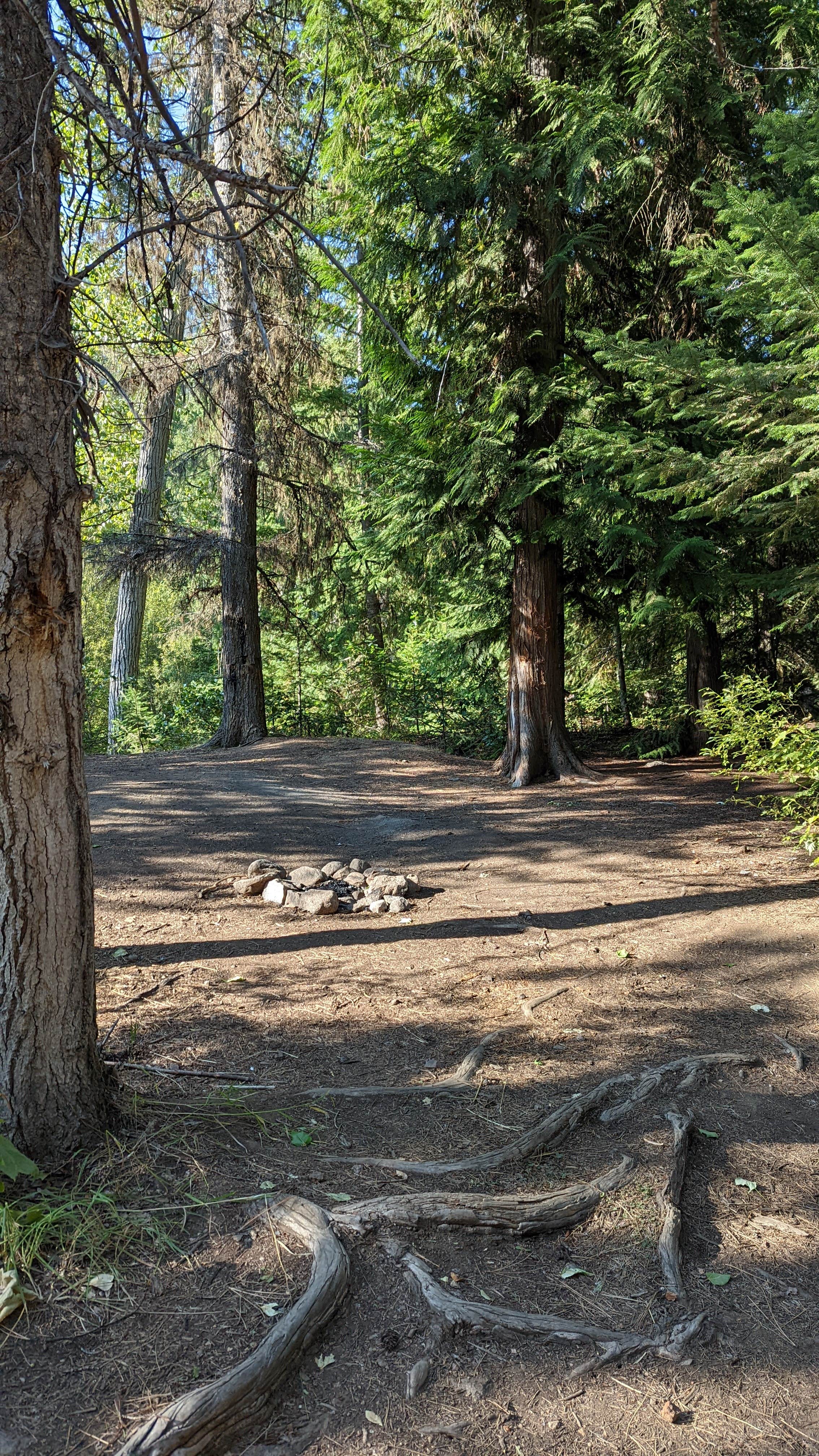 Camper-submitted photo at FS Road 7601 Dispersed near Cle Elum, WA