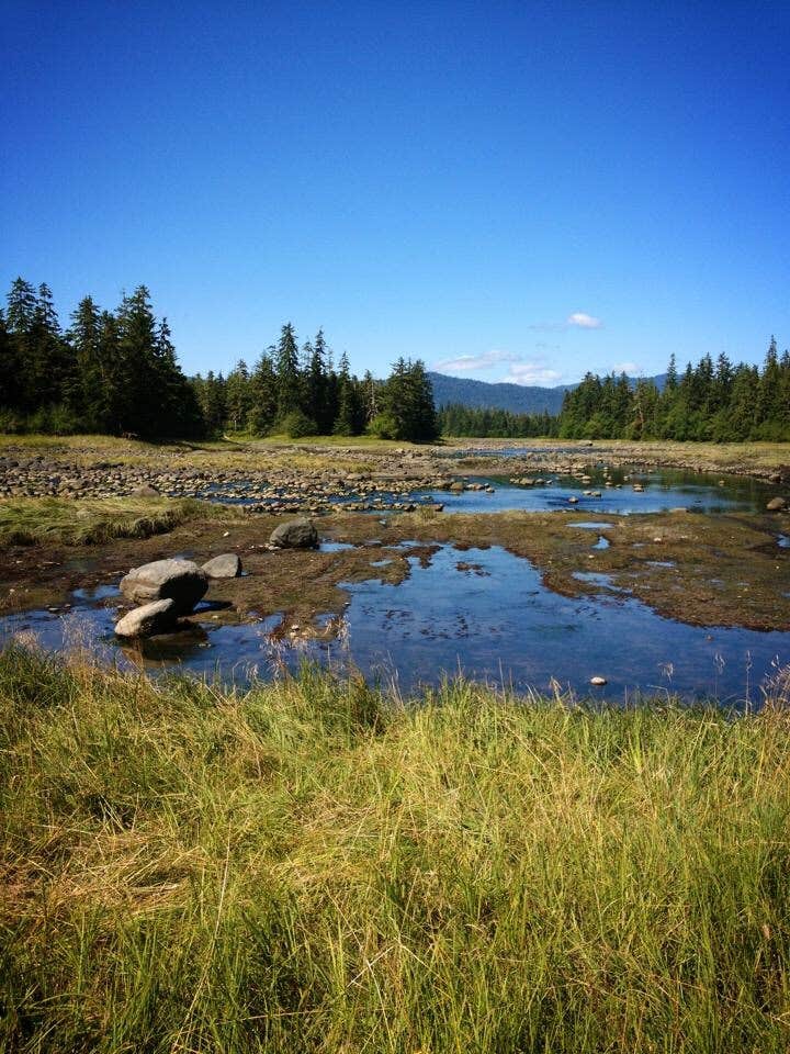 Camper-submitted photo at Blind Slough near Point Baker, AK