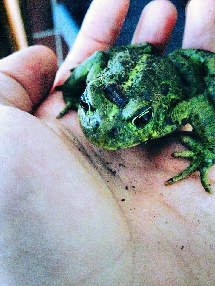 Camper-submitted photo at Blind Slough near Point Baker, AK