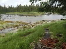 Camper-submitted photo at Blind Slough near Point Baker, AK