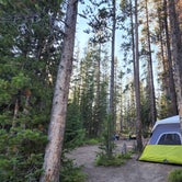 Review photo of Bull Trout Lake Campground by Natalie J., September 4, 2022
