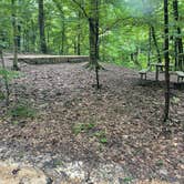 Review photo of Tunica Hills Campground by Tyler H., August 27, 2022