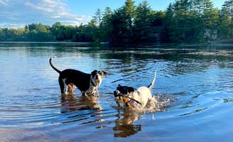 Quinn G.'s photo of camping with pets at Autumn Hills Campground near Bennington, NH