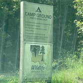 Review photo of Tunica Hills WMA Campground by Tyler H., September 4, 2022