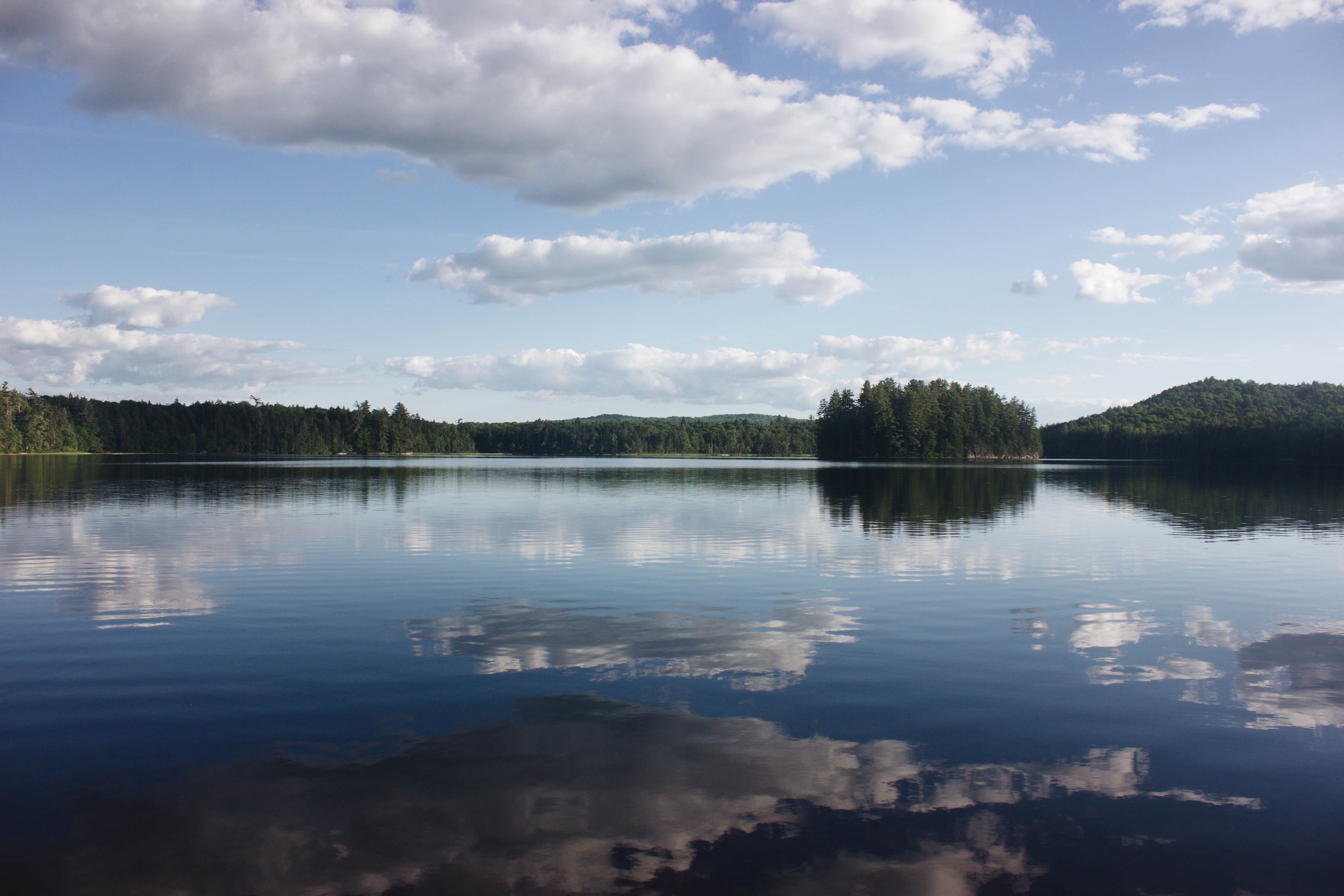 Camper submitted image from Brown Tract Pond Campground - 1