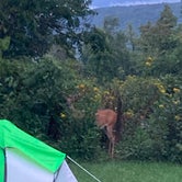 Review photo of Loft Mountain Campground — Shenandoah National Park by Bella J., September 4, 2022