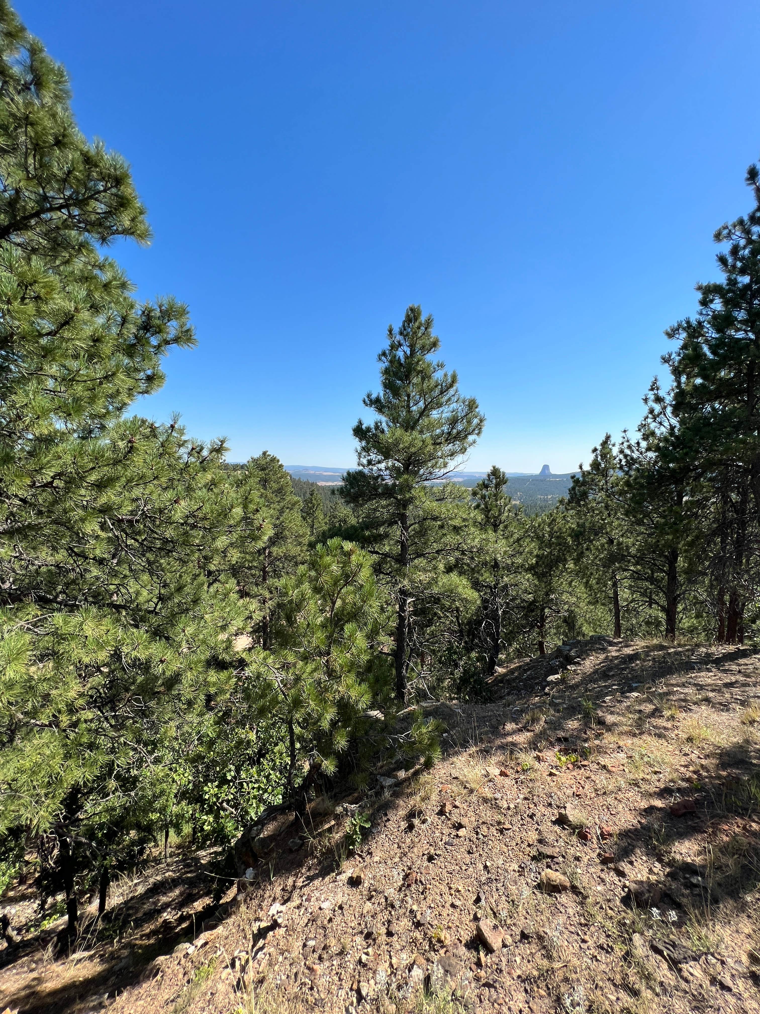 Camper submitted image from Storm Hill BLM Land Dispersed Site - 3